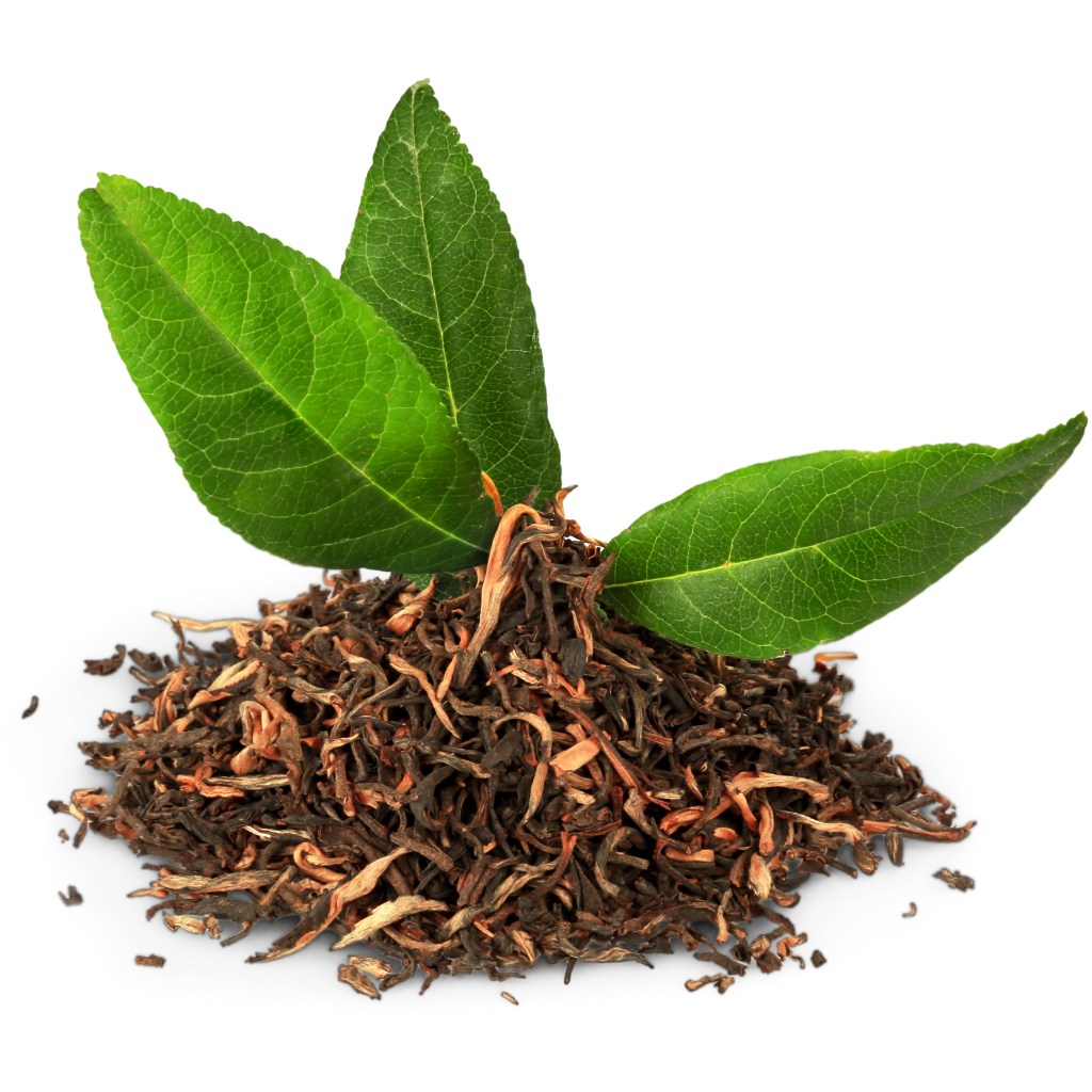 Green Tea Leaves bulk supply - Chime of Wellness