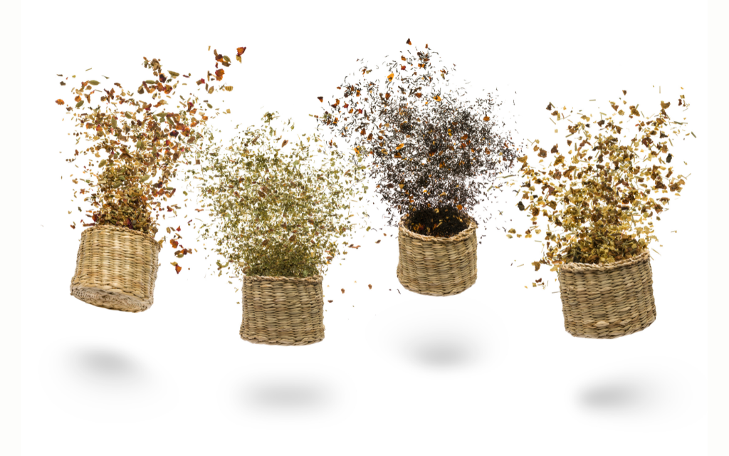 Tea Blends - Chime of Wellness product category