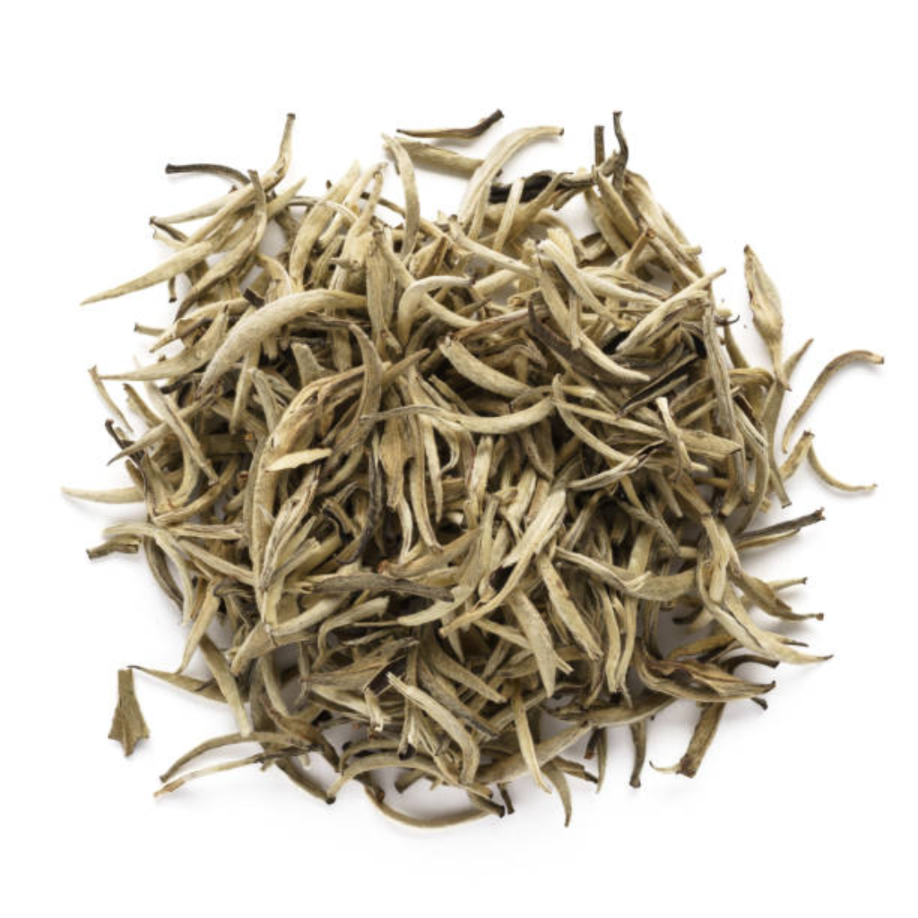 White Tea Leaves bulk supply - Chime of Wellness
